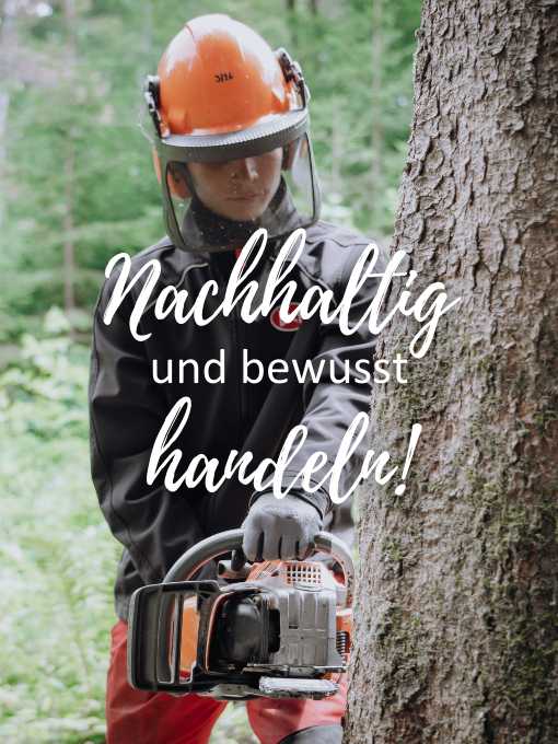 Schüler mit Motorsäge im Wald