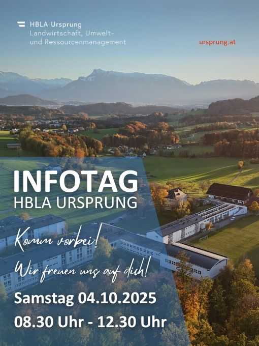 INFOTAG 2025 - LINKTREE