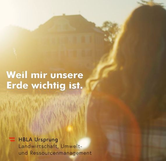 Video: Der Ursprung unserer Zukunft!