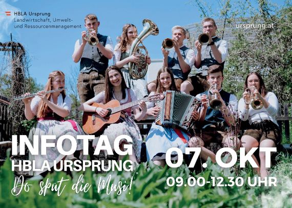 Schülerinnen und Schüler beim Musizieren