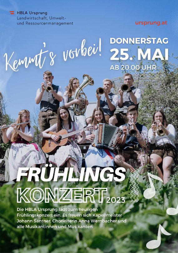 Schülerinnen und Schüler beim Musizieren.