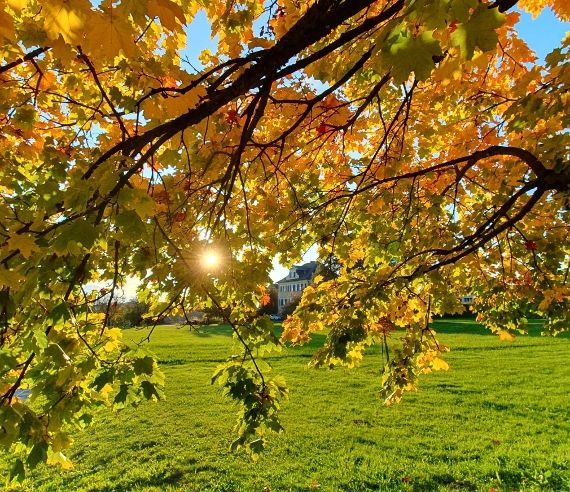 Foto von Herbstlandschaft mit Schloss Ursprung