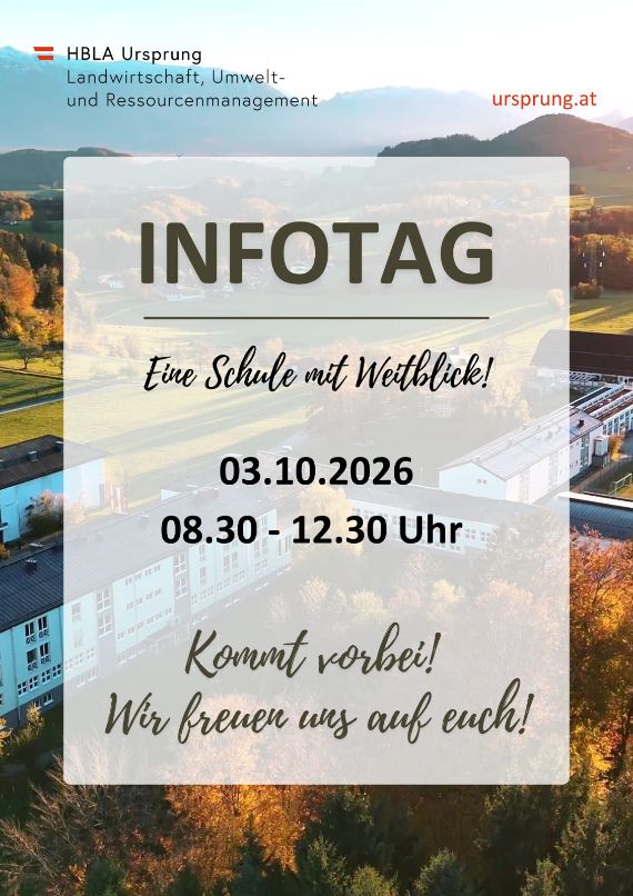 Plakat Ursprunger Infotag
