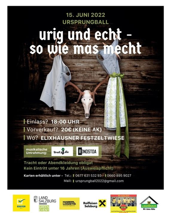 Plakat für Ursprungball