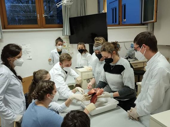Schüler der 2AL im Biolabor.