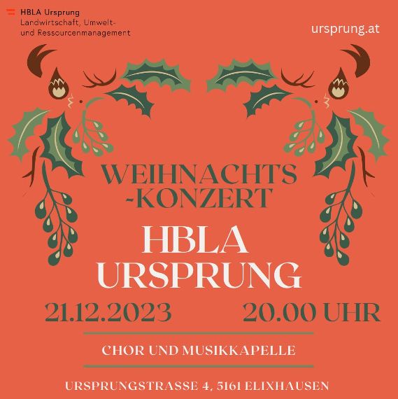 Plakat Weihnachtskonzert 
