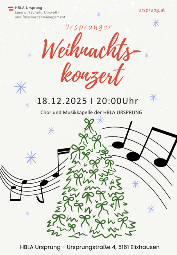 Plakat Weihnachstkonzert