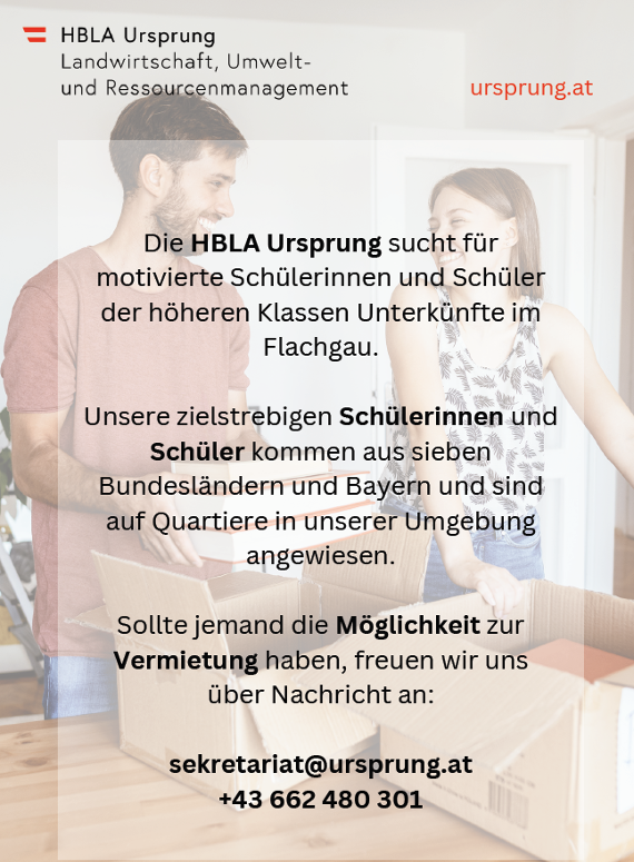Junges Paar beim Auspacken von Schachteln.